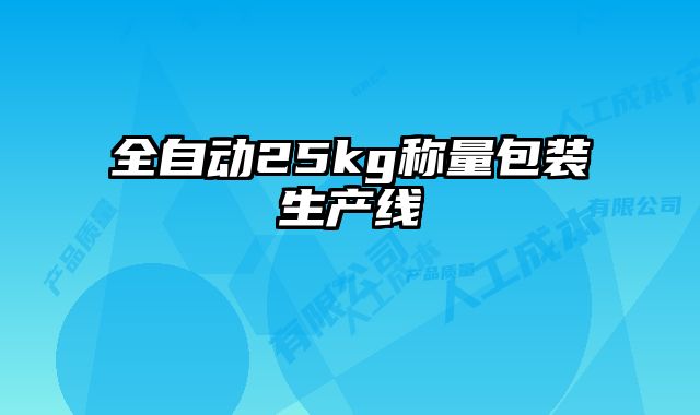 全自動25kg稱量包裝生產(chǎn)線